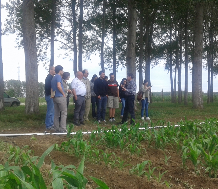 01_parceles_agricoles_9.jpg